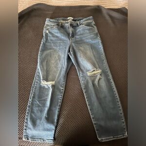 NWOT Ava and Viv High Rise Slim Straight Jeans